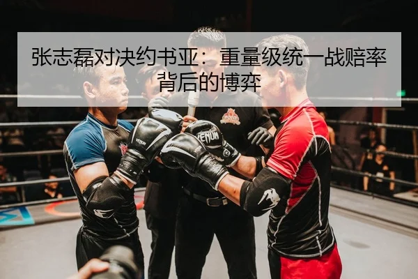 张志磊对决约书亚：重量级统一战赔率背后的博弈