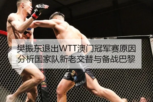 樊振东退出WTT澳门冠军赛原因分析国家队新老交替与备战巴黎